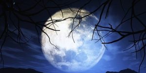 Приближается последнее в 2021 году полнолуние: почему его называли “Луной до Йоля”