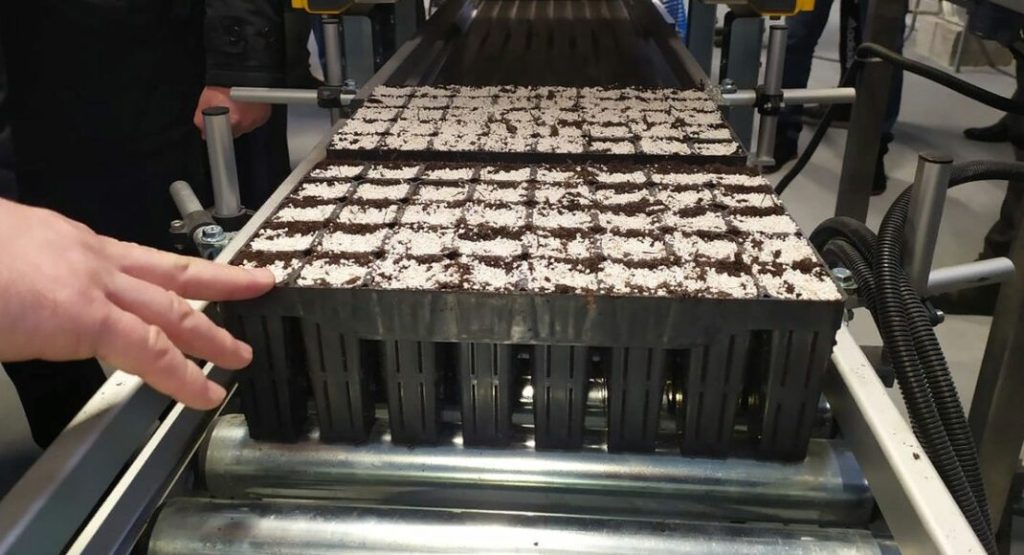 Миллионы новых деревьев. Как новый селекционный Центр в Лимане будет спасть леса