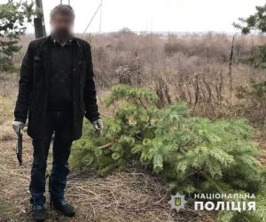 На территории Национального природного парка лиманские полицейские задержали “охотника” за елками