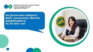 В Донецкой области налоговики разоблачили факт нанесения убытков госбюджету на 30 миллионов гривен