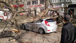 Городской совет Краматорска выплатит компенсацию за упавшее дерево на автомобиль