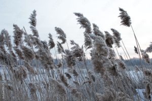 Водолазы отремонтировали часть Второго Донецкого водопровода