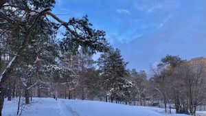 Не брать в долг и не стричься: что нельзя делать в Федосеев день 24 января 2022 года