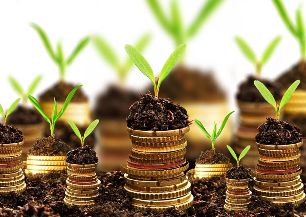 Больше всего земли украинцы продали на Востоке страны