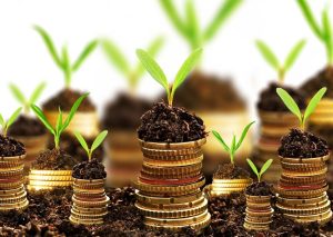 Больше всего земли украинцы продали на Востоке страны