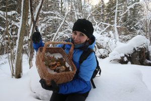 Грибы в январе: жители Донбасса делятся фото