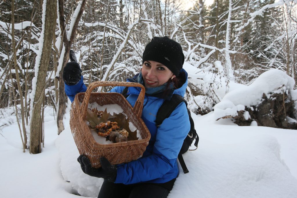Грибы в январе: жители Донбасса делятся фото