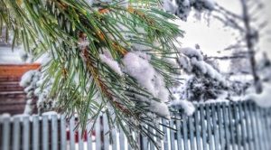 Как украинцы будут отдыхать в феврале: календарь праздников и выходных