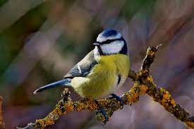 Какой церковный праздник 4 января и что нельзя делать