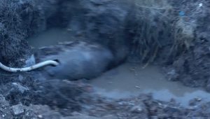 Замена аварийного участка водовода в Железнодорожном микрорайоне запланирована на весну