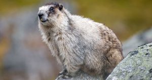 Приметы на 2 февраля: что нельзя делать в день Ефимия и как не попасть в беду