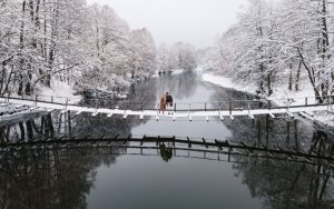 11 февраля, какой церковный праздник, что запрещено делать