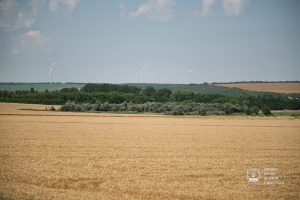 В Донецкой области за время функционирования рынка земли было заключено полторы тысячи сделок купли-продажи паев