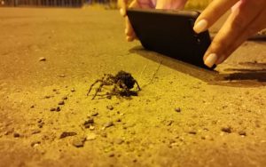 День домового: что категорически нельзя делать 10 февраля