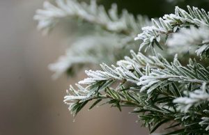 Народные приметы на 5 февраля 2022 года: что нельзя делать на Агафия-Полухлебника