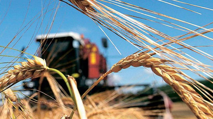 Украина заработала на экспорте зерновых $12,3 млрд