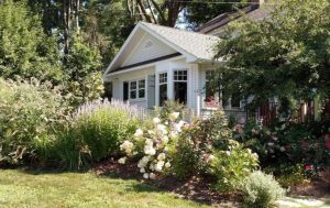 Какие вещи привлекут деньги и счастье в дом этой весной: что нужно купить уже сейчас