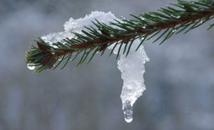 16 февраля: какой праздник, что нельзя делать на Починки, приметы и именинники