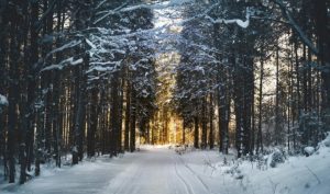 4 февраля: какой праздник, что нельзя делать на Тимофея, приметы и именинники