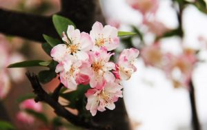 В марте 2022 украинцев ждут затяжные выходные: сколько отдохнем, и будем ли отрабатывать