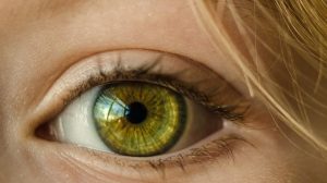 В глазу ребенка обнаружили огромного червяка (фото)