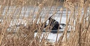 Двух утопленников достали из реки на Донетчине