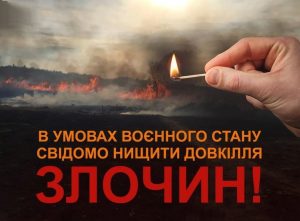 ДСНС прохає не палити суху траву