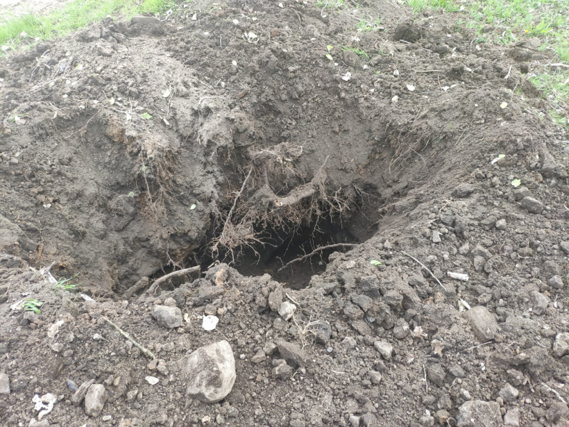 278974814 535279774821248 4910929856334375556 n 820x360