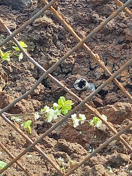 279265217 532324315116794 7945901780942044570 n 820x360