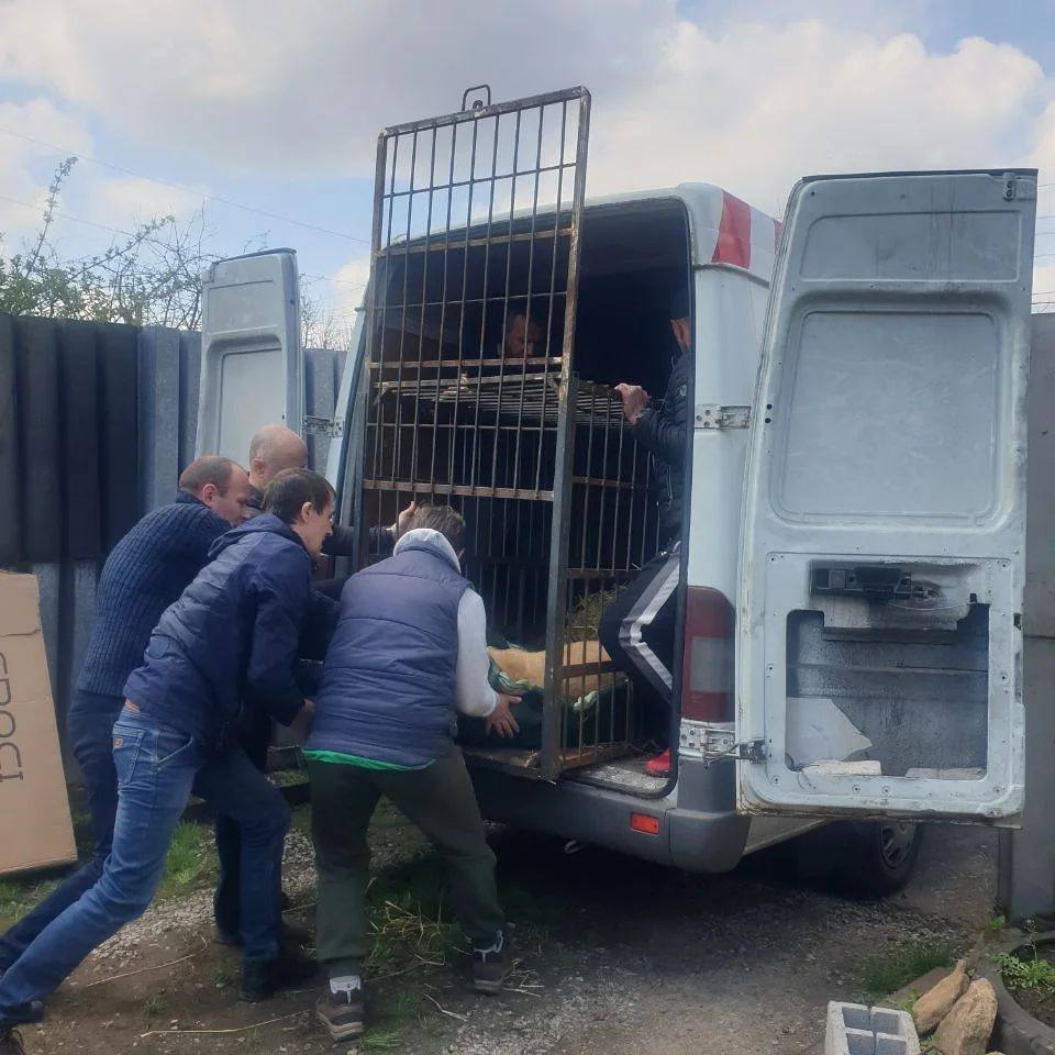 fb338cd9 9fe4 43c7 9585 dc005aa69805