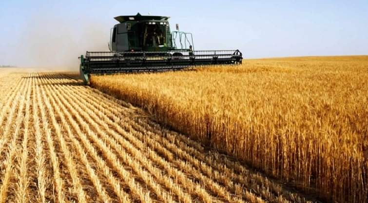 В Донецкой области активно подбирают работников для сельского хозяйства