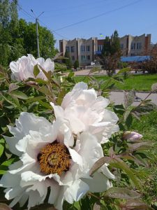 Змінювати комендантську годину 8-9 травня у Слов’янську не планується