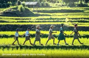 Минобразования рекомендует школам создать летние лагеря для детей