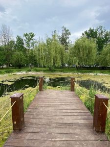 Як пройшла ніч у Слов’янську 8 червня