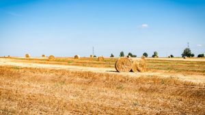 Погода в августе: Укргидрометцентр дал прогноз