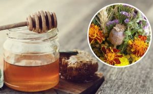 Медовий Спас 14 серпня: як правильно відзначити свято і що посвятити в церкві