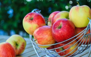 Роботи на городі, в саду та на квітнику у серпні