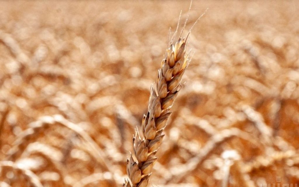 З порту України виходить перше судно із зерном – Міноборони Туреччини