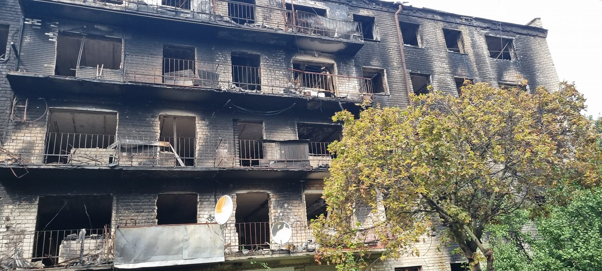 304816947 7934840709919175 8561637434237803128 n