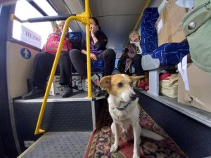 Евакуюйся вчасно: мешканці Слов’янська виїжджають у більш безпечні регіони