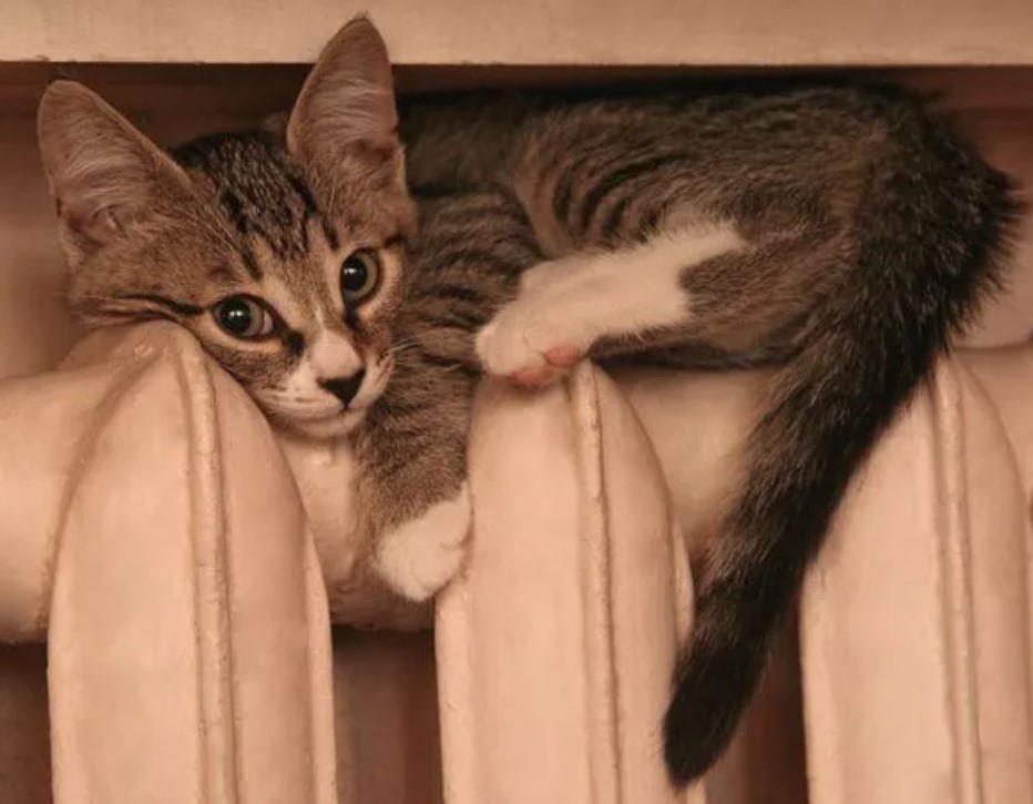 Опалювальний сезон в Україні: чи вистачить газу у сховищах і чи не загрожують нам відключення тепла