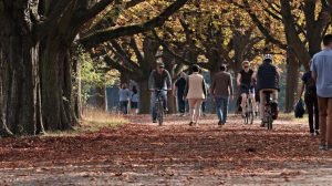 Календар вихідних і свят у жовтні 2022