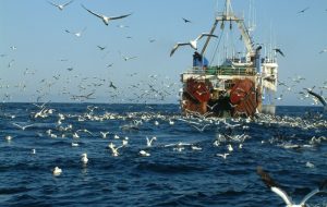 В Україні дозволили оренду морського водного простору