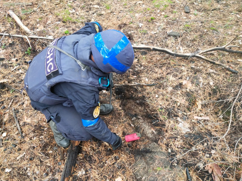 Піротехніки ДСНС виявили на Донеччині ще 345 вибухонебезпечних предметів