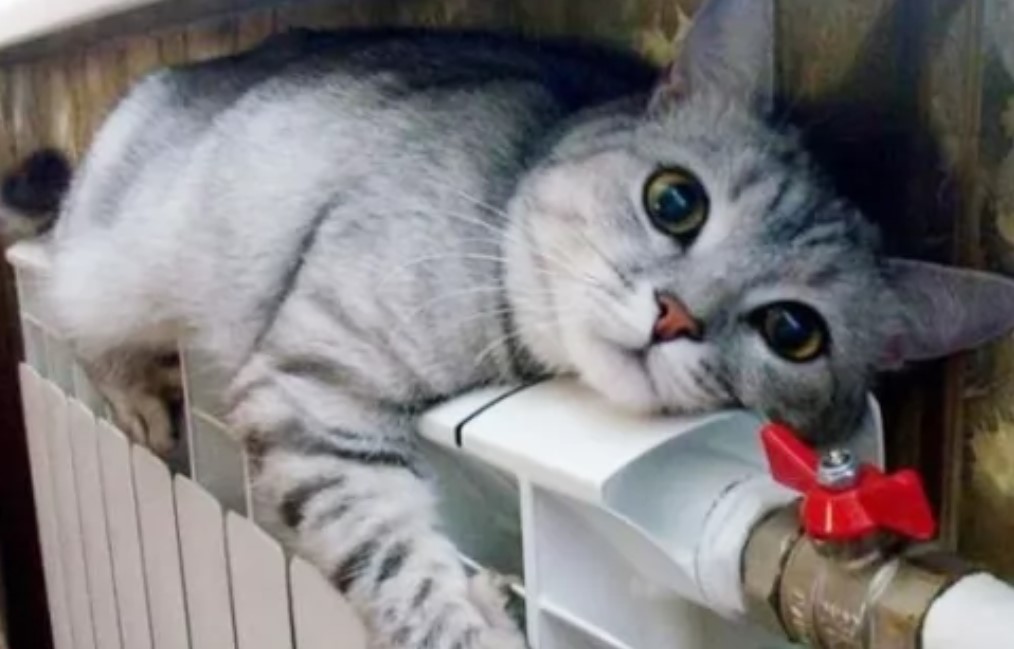 Середня температура в квартирах цієї зими становитиме 18 градусів