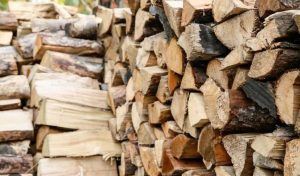 Кабмін виділив 563 млн гривень 8 областям для придбання дров