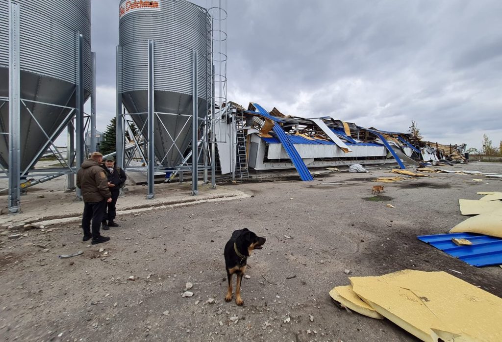 На Донеччині ворог знищив одне з найпотужніших підприємств із виробництва яєць (фото, відео)