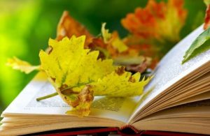 Школярі Слов’янської громади йдуть на осінні канікули