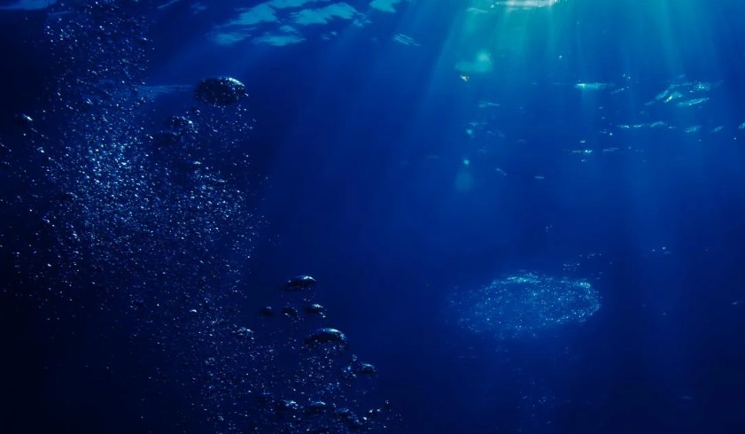 Вчені закликали визнати Світовий океан живою істотою та наділити правами: у чому суть