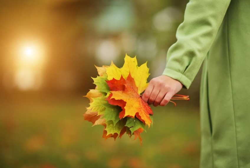В Україну йде “старе” бабине літо: температура підніметься вище +20° – синоптик